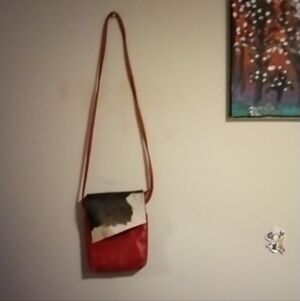 Red and Black Crossbody Bag